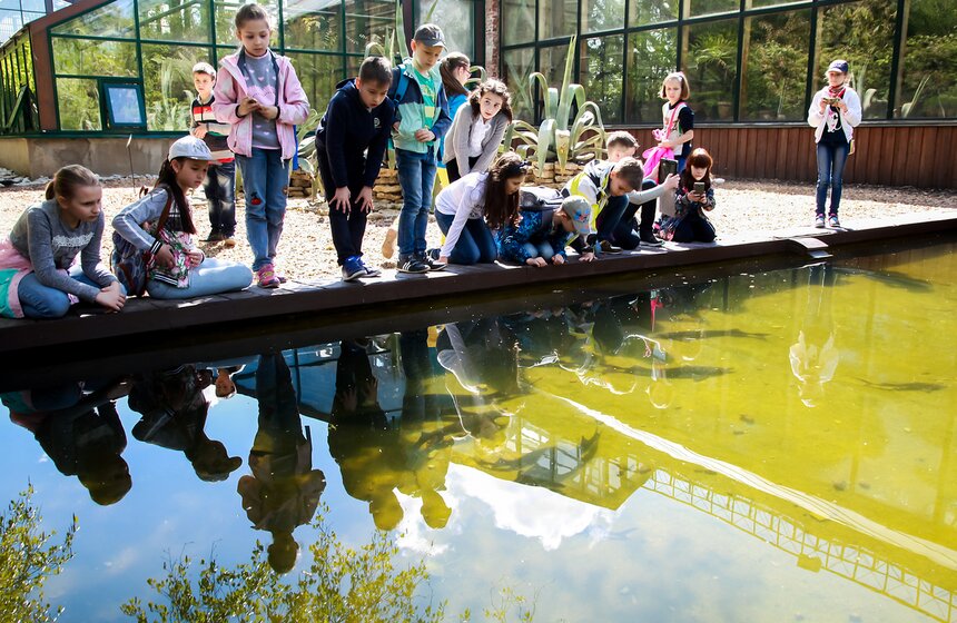Весна в "Аптекарском огороде". Фото 30 фото