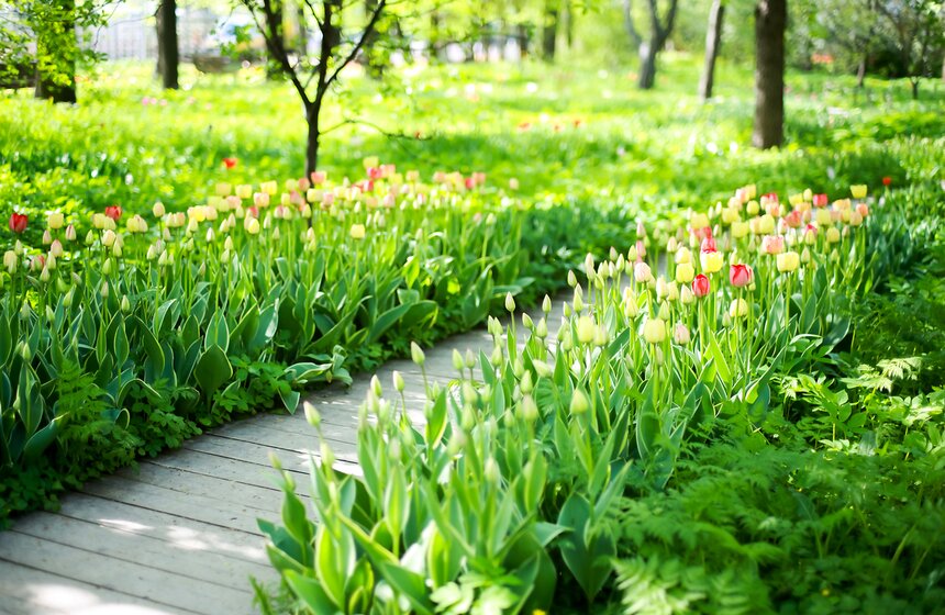 Весна в "Аптекарском огороде". Фото 8 фото