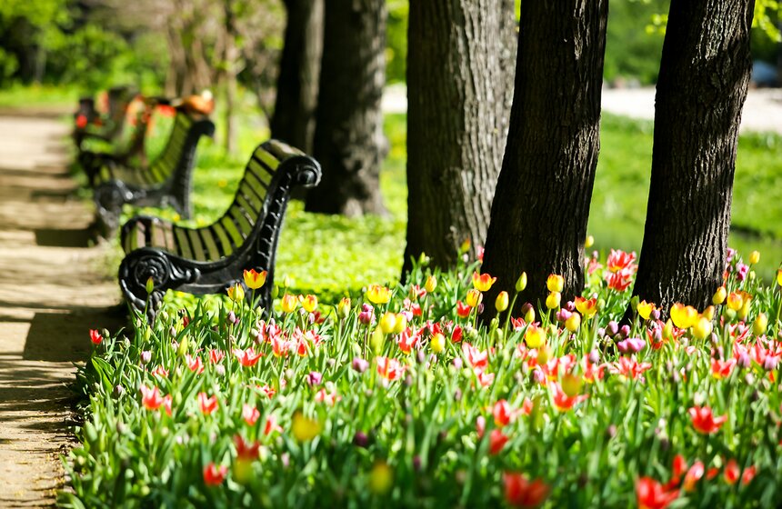 Весна в "Аптекарском огороде". Фото 9 фото