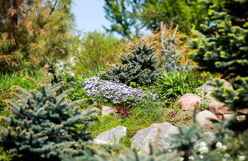 Весна в "Аптекарском огороде". Фото 11 фото