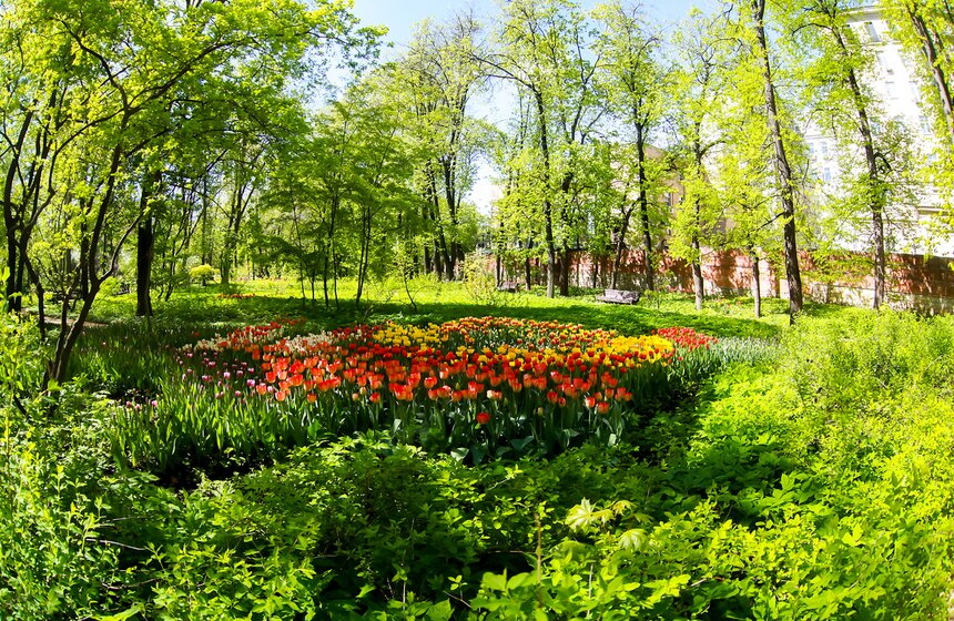 Весна в "Аптекарском огороде". Фото 15 фото