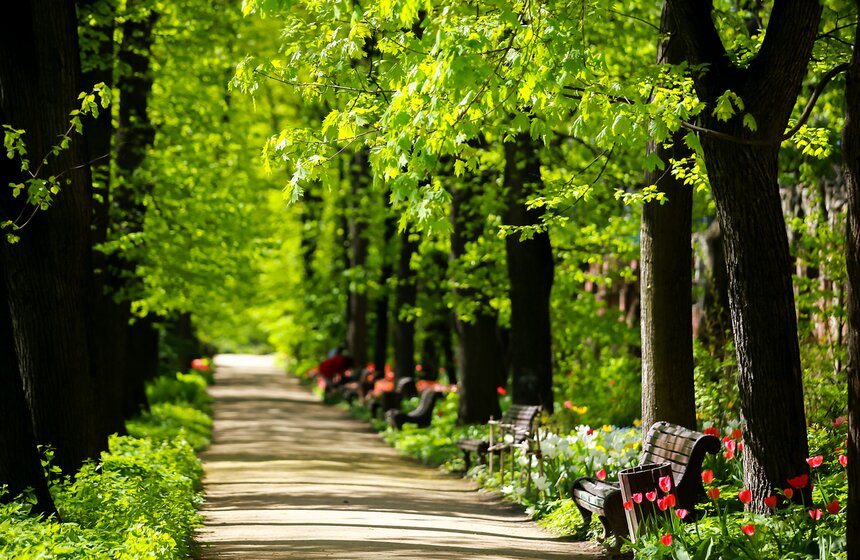 Весна в "Аптекарском огороде". Фото 16 фото