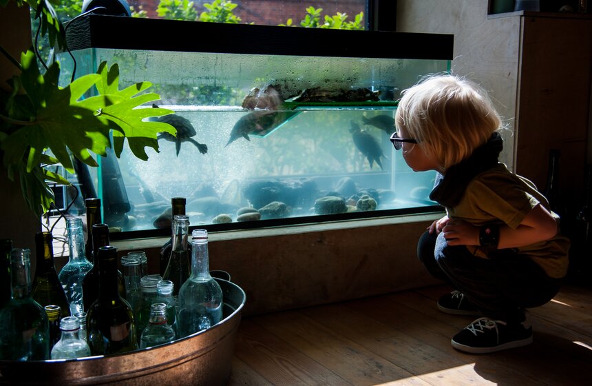 День рождения Зеленой школы парка Горького. Фото 25 фото