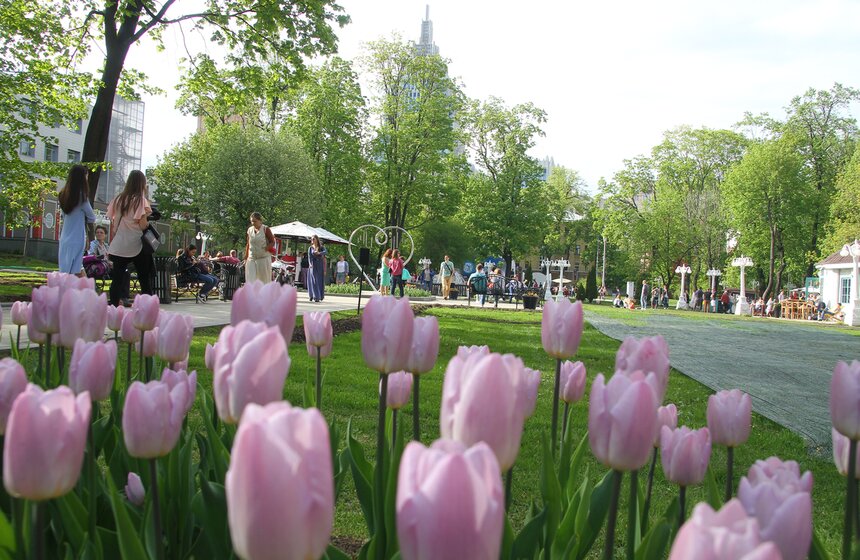 Акция "Ночь музеев" стартовала в саду "Эрмитаж" 6 фото