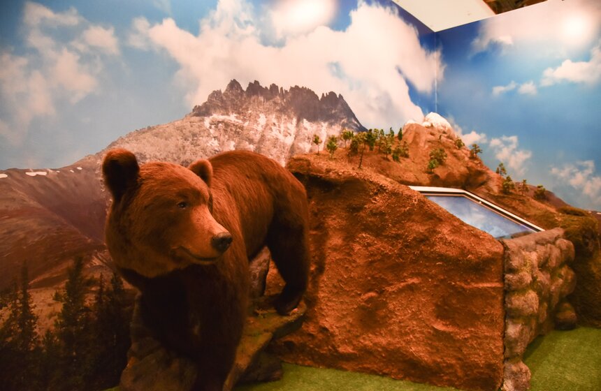 Международный фестиваль "Интермузей 2017" 5 фото