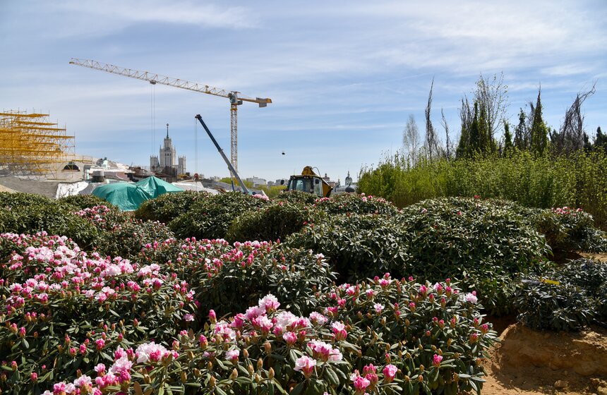 Строительство парка "Зарядье". Фото 17 фото