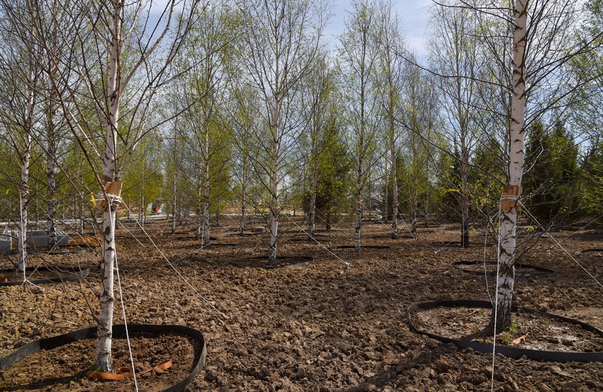 Строительство парка "Зарядье". Фото 10 фото