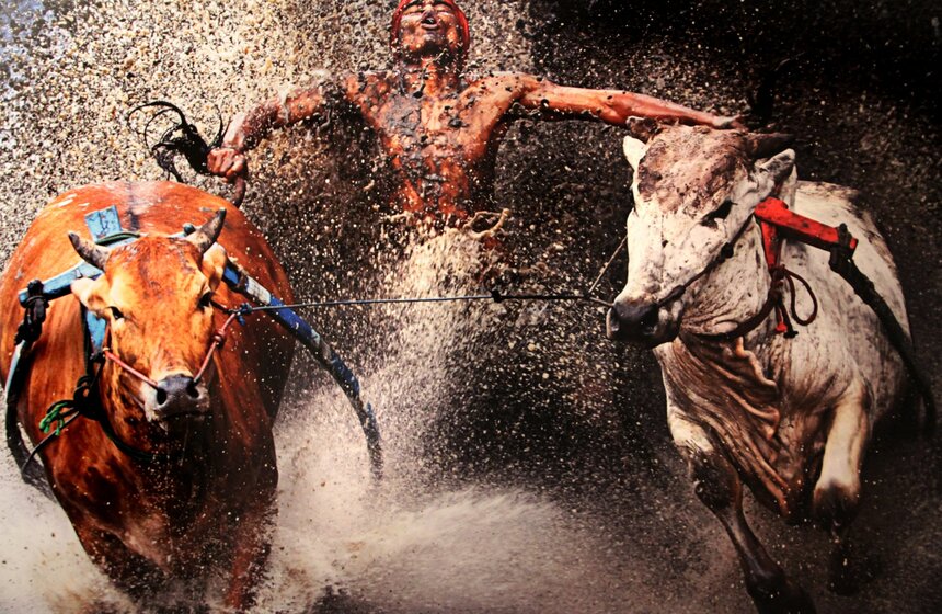 На "Красном Октябре" проходит выставка World Press Photo 18 фото