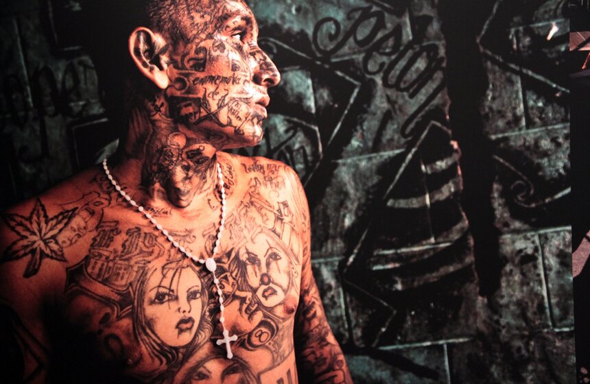 На "Красном Октябре" проходит выставка World Press Photo 14 фото