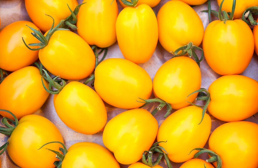 Как Подмосковье снабжает столицу овощами круглый год 38 фото