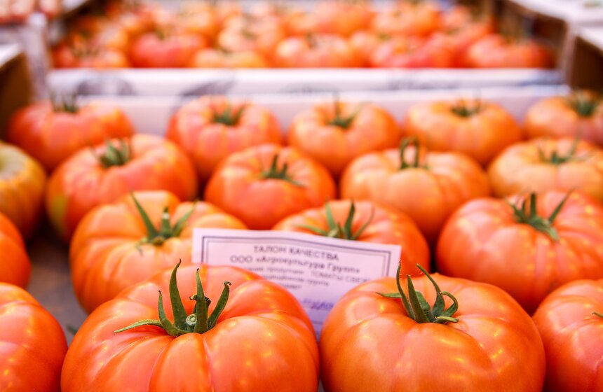 Как Подмосковье снабжает столицу овощами круглый год 27 фото