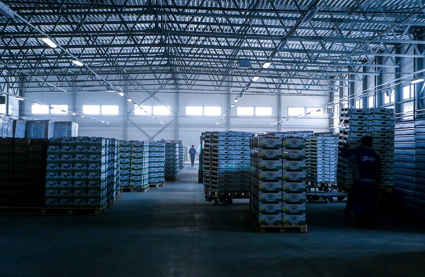 Как Подмосковье снабжает столицу овощами круглый год 41 фото