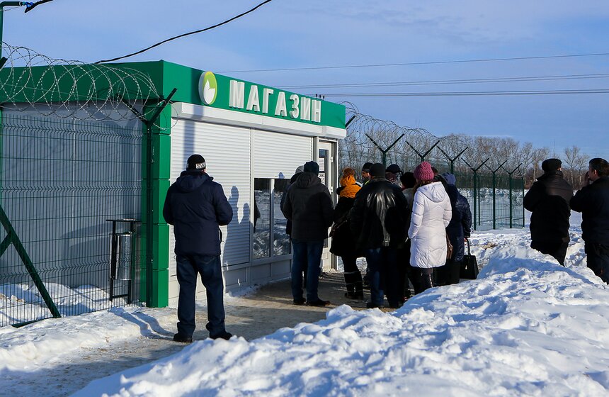 Как Подмосковье снабжает столицу овощами круглый год 43 фото