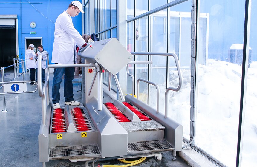 Как Подмосковье снабжает столицу овощами круглый год 3 фото