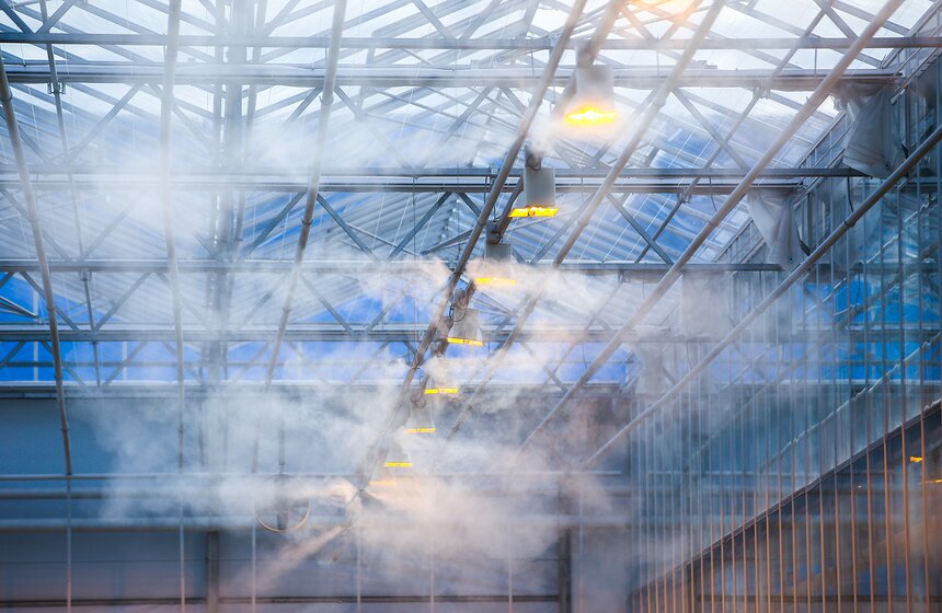 Как Подмосковье снабжает столицу овощами круглый год 7 фото