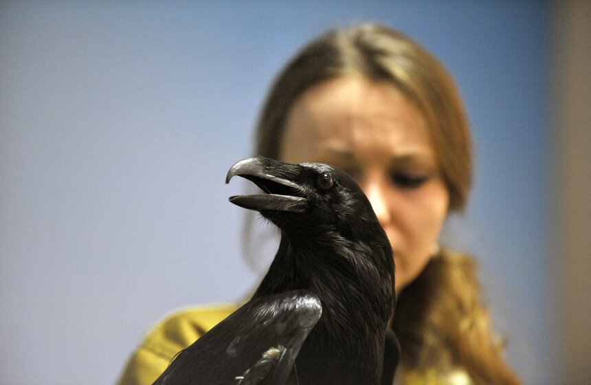 Московскому зоопарку исполнилось 153 года 15 фото