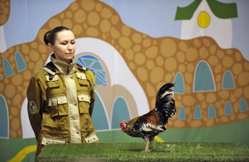 Московскому зоопарку исполнилось 153 года 8 фото