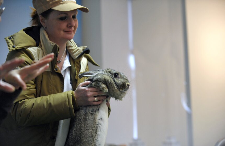 Московскому зоопарку исполнилось 153 года 9 фото