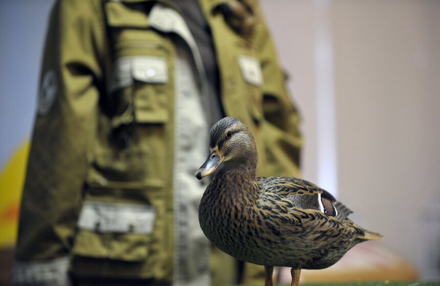 Московскому зоопарку исполнилось 153 года 11 фото