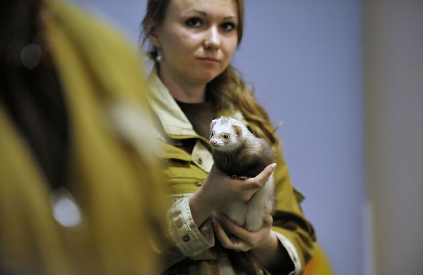 Московскому зоопарку исполнилось 153 года 17 фото