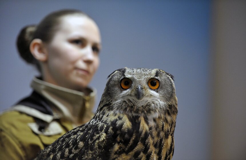Московскому зоопарку исполнилось 153 года 16 фото