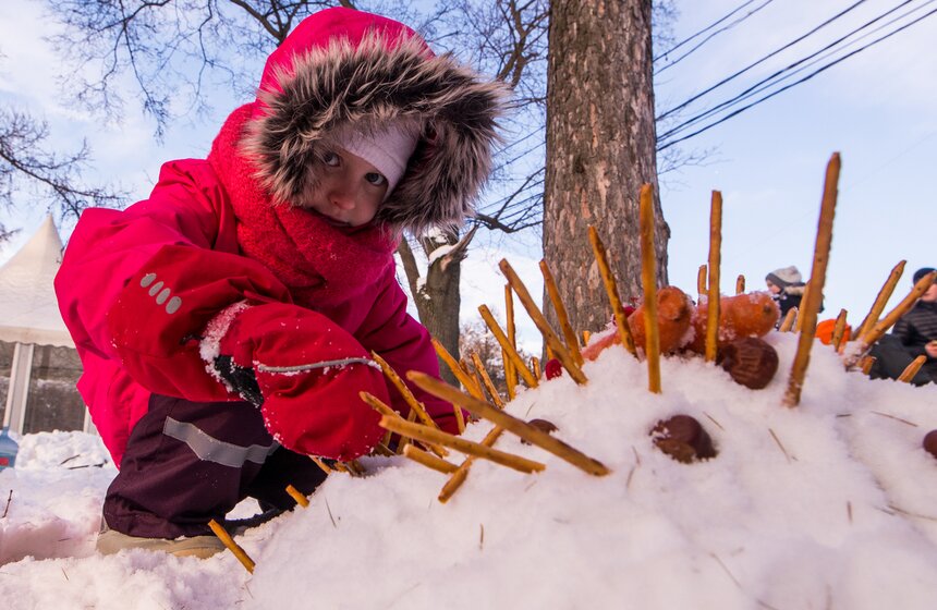 Фестиваль снеговиков в "Сокольниках" 14 фото