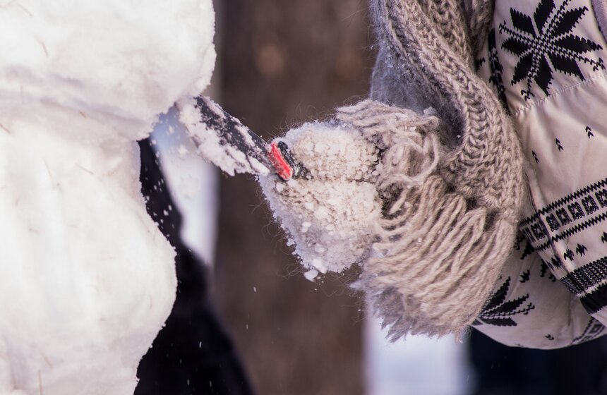 Фестиваль снеговиков в "Сокольниках" 16 фото