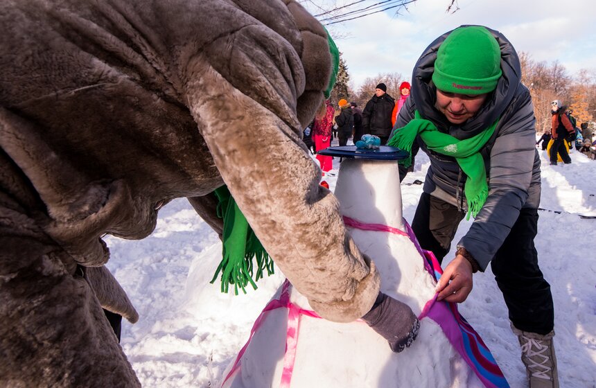 Фестиваль снеговиков в "Сокольниках" 3 фото