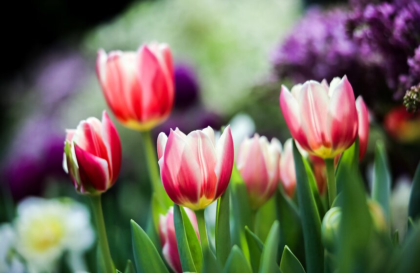 Выставка "Репетиция весны". Фоторепортаж 5 фото