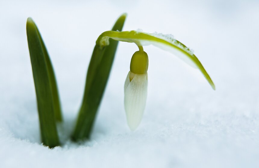 Выставка "Репетиция весны". Фоторепортаж 2 фото