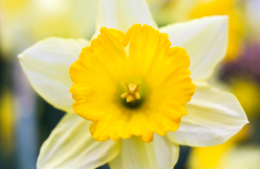 Выставка "Репетиция весны". Фоторепортаж 15 фото