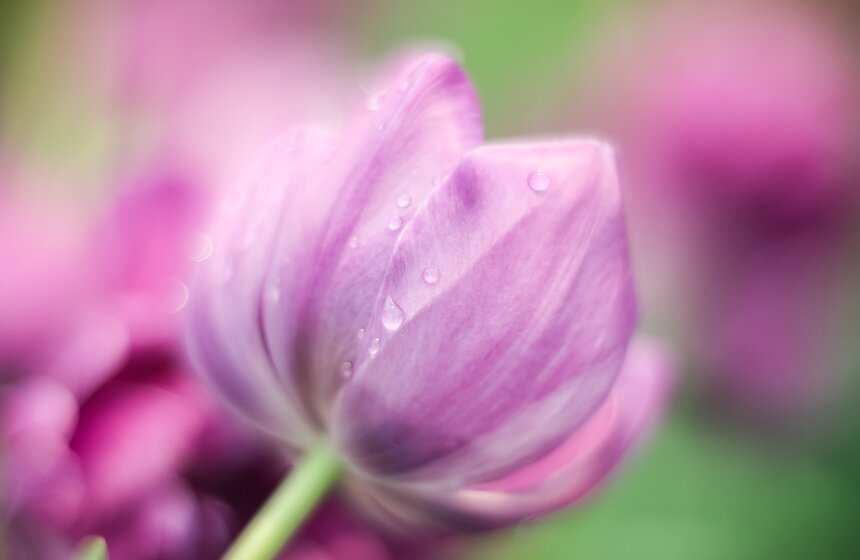 Выставка "Репетиция весны". Фоторепортаж 39 фото