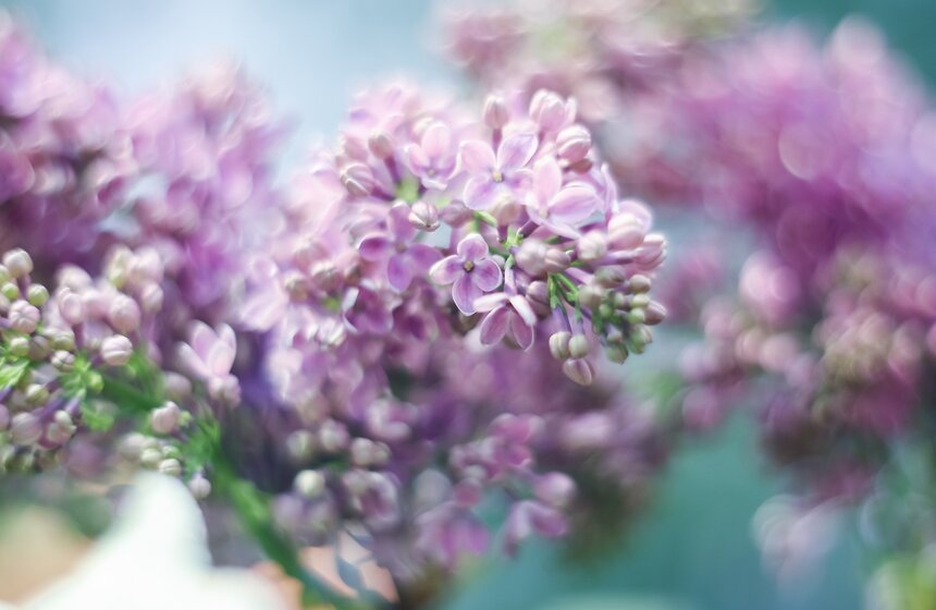 Выставка "Репетиция весны". Фоторепортаж 32 фото