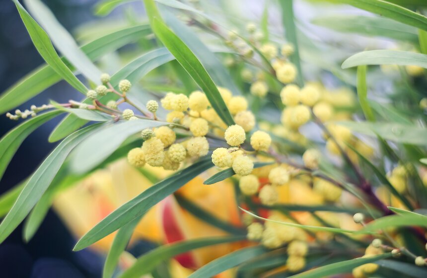 Выставка "Репетиция весны". Фоторепортаж 37 фото