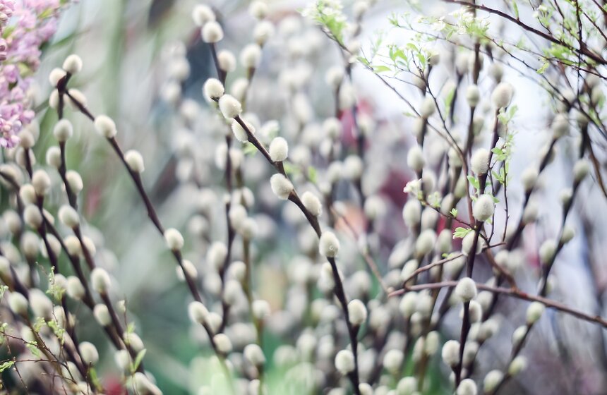Выставка "Репетиция весны". Фоторепортаж 40 фото