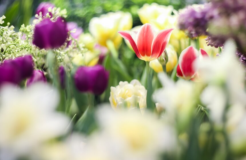 Выставка "Репетиция весны". Фоторепортаж 41 фото