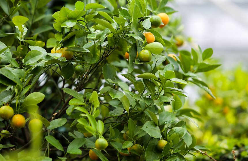 Выставка "Репетиция весны". Фоторепортаж 20 фото