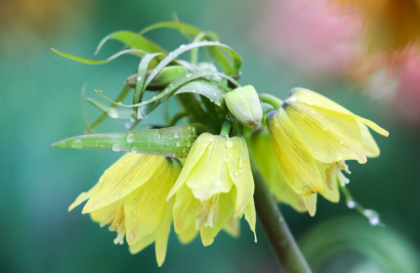 Выставка "Репетиция весны". Фоторепортаж 28 фото