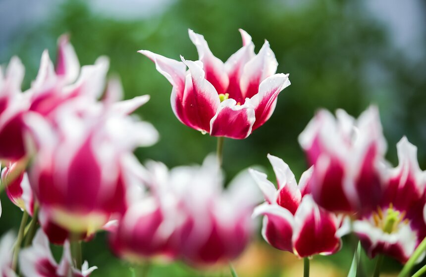 Выставка "Репетиция весны". Фоторепортаж 26 фото