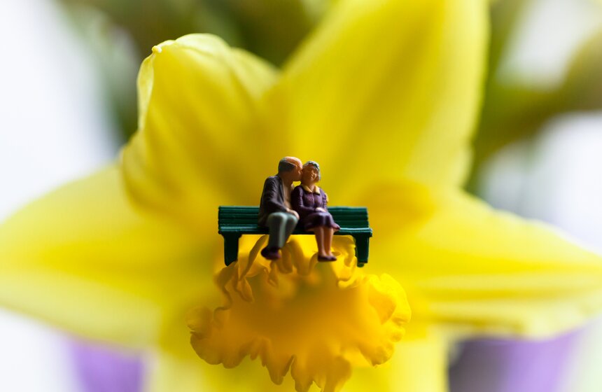 Влюбленные миниатюры от Дэвида Гилливера 5 фото