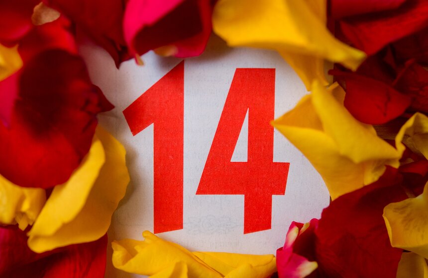 Фото: ТАСС/DPA/Patrick Pleul