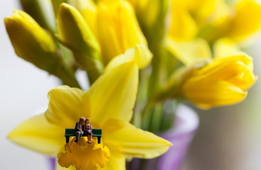 Влюбленные миниатюры от Дэвида Гилливера 7 фото