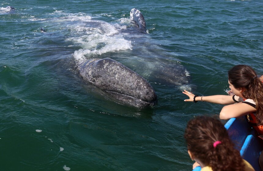 Фото: ТАСС/Zuma/Eduardo Jaramillo