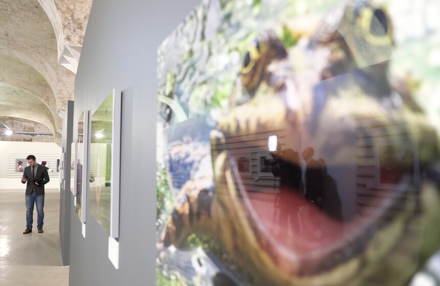 Открытие выставки Best of Russia. Фоторепортаж 31 фото