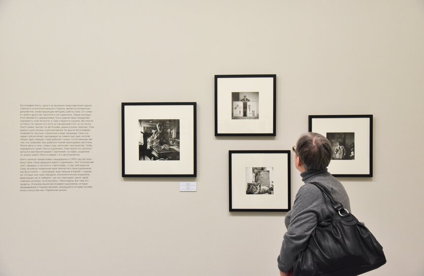 Выставки Игоря Мухина и Мишеля Сима в МАММ 2 фото