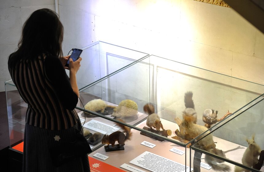 Проект "Выставляются впервые" от Дарвиновского музея 1 фото