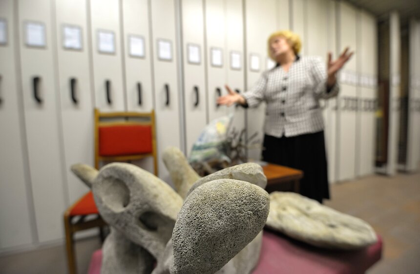 Проект "Выставляются впервые" от Дарвиновского музея 16 фото