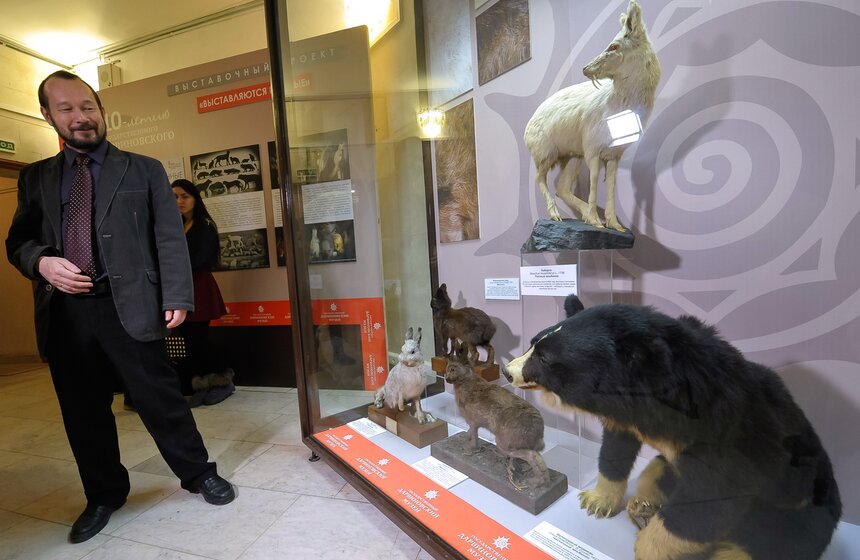 Проект "Выставляются впервые" от Дарвиновского музея 9 фото