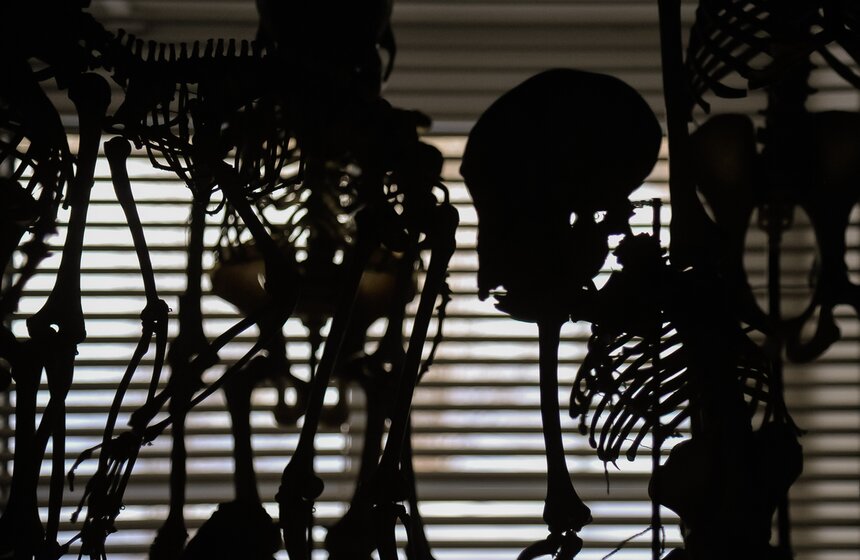 Проект "Выставляются впервые" от Дарвиновского музея 11 фото