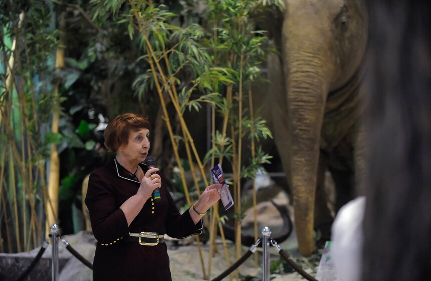 Проект "Выставляются впервые" от Дарвиновского музея 23 фото